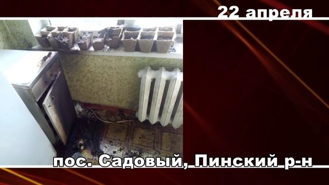 101. Пожарная ситуация в Пинске и Пинском районе за 18-24 апреля смотреть онлайн