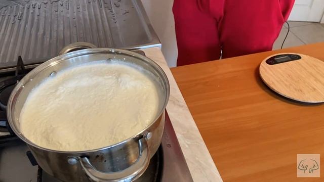 Творог (творОг) из молока и кефира!