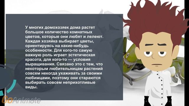 Выращиваем Бамбук смотреть онлайн