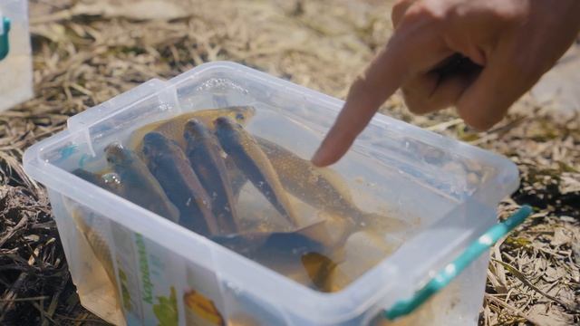 11 ЛАЙФХАКОВ ДЛЯ РЫБАЛКИ! смотреть онлайн