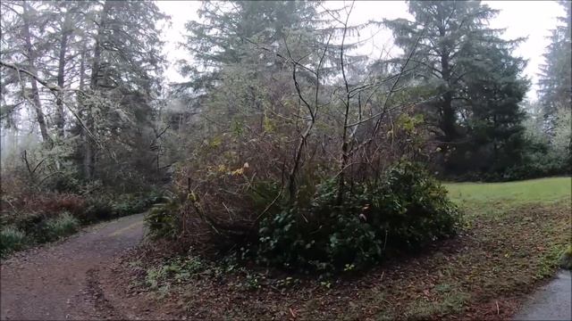 ОРЕГОН ОН РАЗНЫЙ, ПРИРОДА И ПОГОДА, СЕВЕРО - ЗАПАД. КРАЙНЯЯ ТОЧКА. FORT STEVENS, STATE PARK OREGON. смотреть онлайн