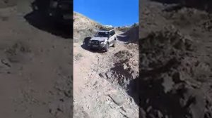 Prado 95