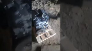 Двигатель 11183 в сборе для ВАЗ Калина в Волгоград (Видео отзыв для GEARBOX63 Поволжье)