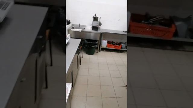 Куриное Фрикасе из филе курицы,, с белым соусом!!