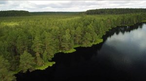 Хутор на краю красивого болота. Жемчужина Витебской области
