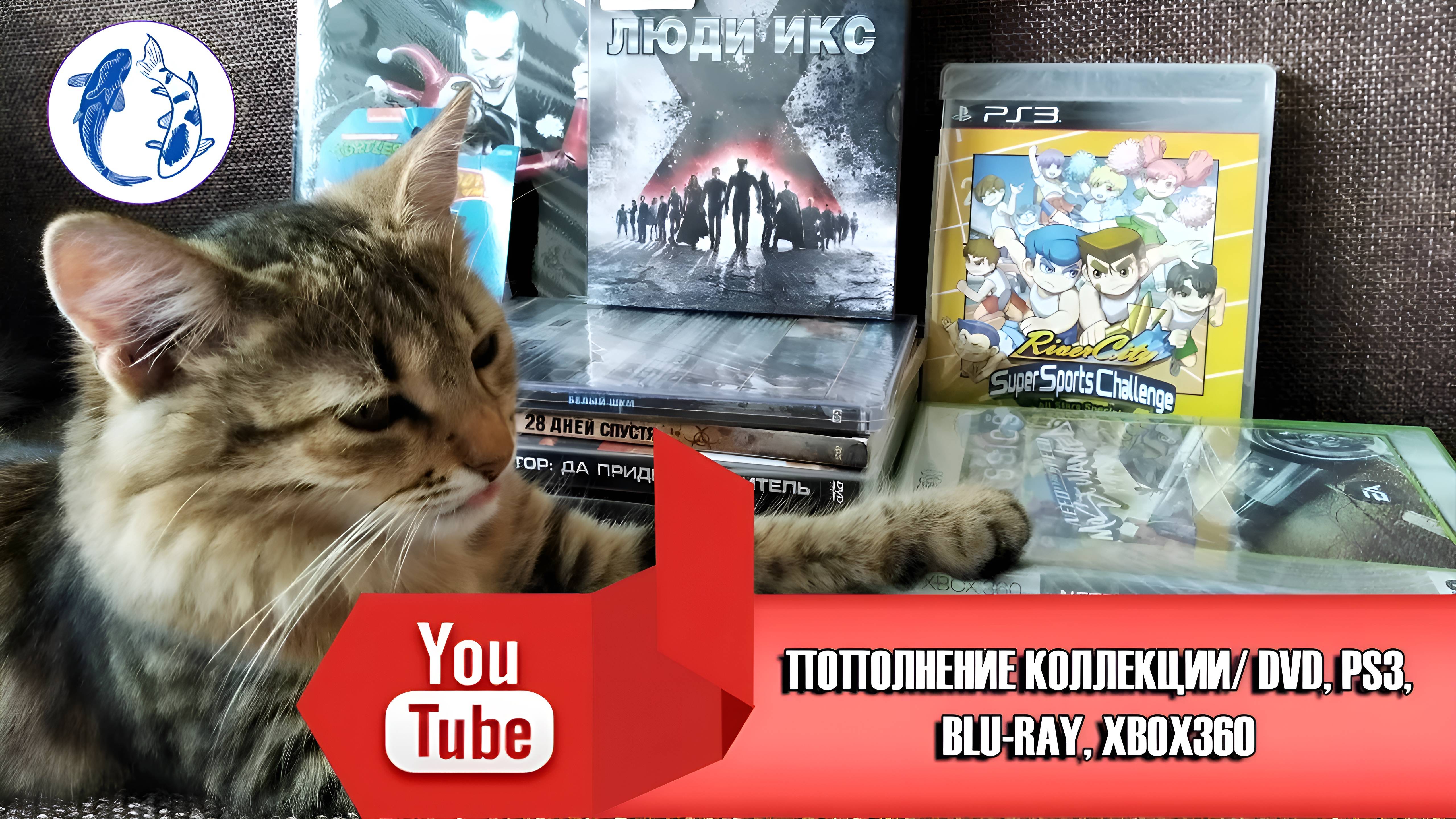 ОБЗОР/ ПОПОЛНЕНИЕ КОЛЛЕКЦИИ DVD, PS3, XBOX360, BLU-RAY, КОМИКС