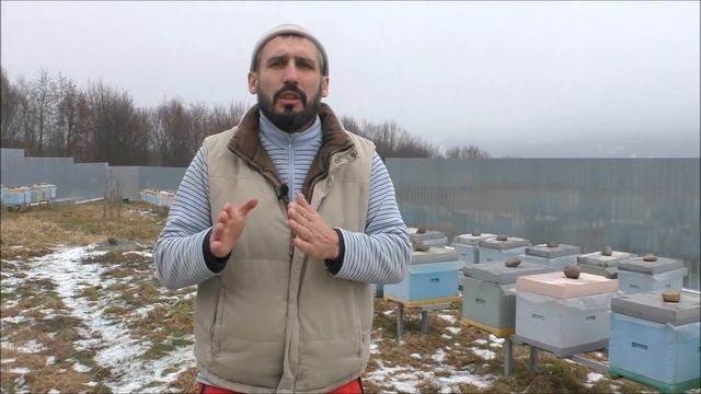 Тёплый или холодный улей 13.01.2020 смотреть онлайн