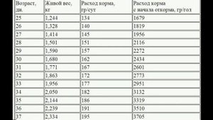 Показатели роста и количества корма по дням. Бройлер Росс 308