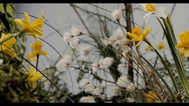 Yoga | Relaxing Music | Paradise 8K World | hdr10+ #4k #music #8k смотреть онлайн