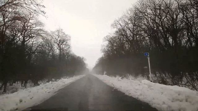 КРАСНЫЙ ЛЕС, Красноармейский район, Краснодарского края