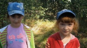 Какие грибы вырастают после грозы. Собираем грибы после ночного ливня.