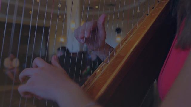 Higlight NAREK & ROZI 16 04 2016 смотреть онлайн