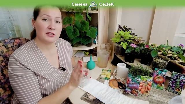 Интересный и очень эффективный способ посева семян на рассаду!