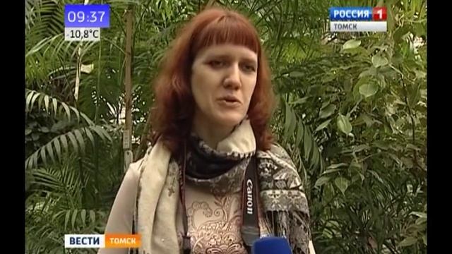 25 отличников Каргаска посетили Томск с экскурсиями... 2014 г. смотреть онлайн