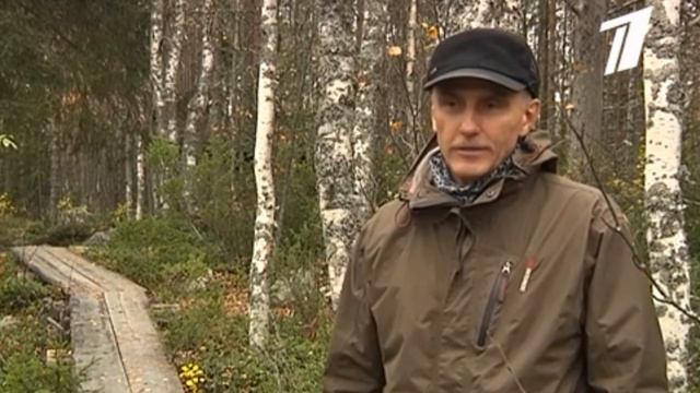 Костомукша. Заповедные тропы