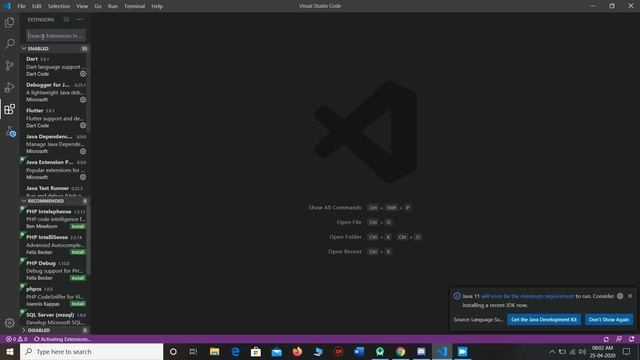 Flutter Installation