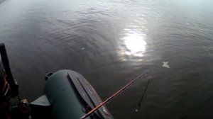 ГОТОВЛЮ ВИДЕООТЗЫВ ОБ ЭХОЛОТЕ LOWRANCE ELITE-5 HDI ДЛЯ ЛОВЛИ СОМА.   УЖЕ СКОРО