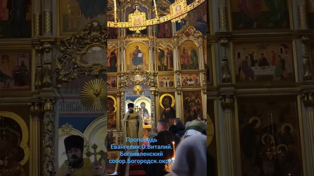 Проповедь Евангелия.О.Виталий #Богоявленский #собор #Богородск . округ