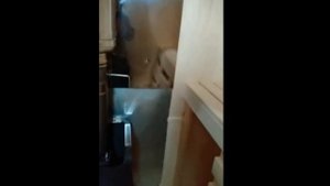 Двухэтажная баня 4х6 из бруса с мансардой - Отзыв о строительстве бани под ключ - СК Доминика