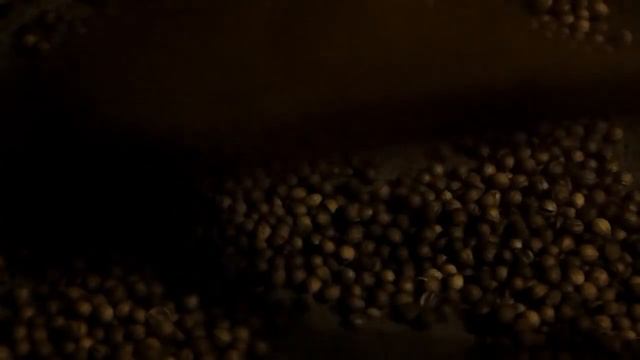 Сыровяленая домашняя колбаса. Часть 1.