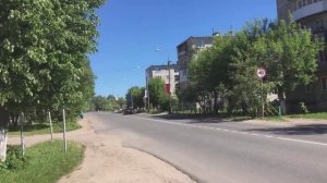 Вербилки. Виды Вербилок май 2018