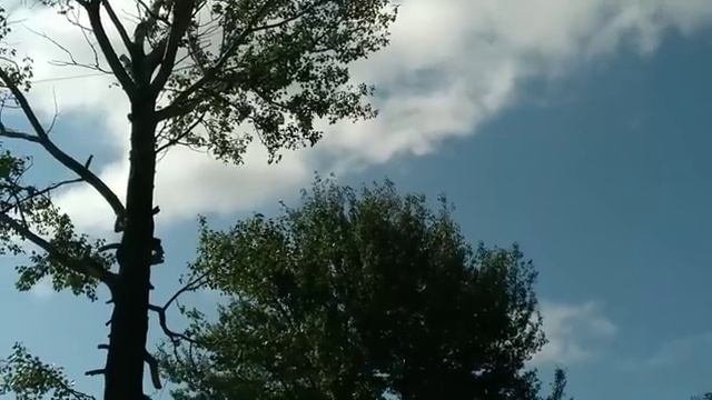 Всё-таки решились//Полнейшая распродажа. смотреть онлайн