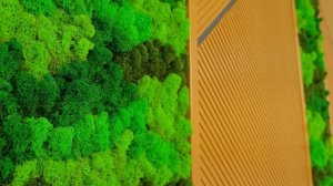 ОСОБНЯК ПО ЦЕНЕ КВАРТИРЫ В МОСКВЕ!?ЧТО ВНУТРИ? 4 этажа комфорта в КП «Крона» Аносино на Новой Риге