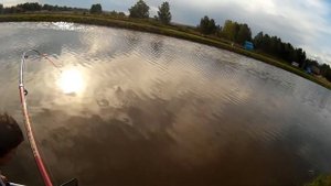 Ловля осетра на базе Азарт Чебаркуль