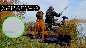 Идеальный НАПАРНИК на рыбалке. ЛОТОШИМ КАРАСЯ!