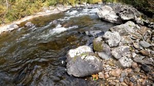 Рыбалка на Хариуса | Трофеи таёжных рек | Нахлыст | Flyfishing for Grayling in Siberia