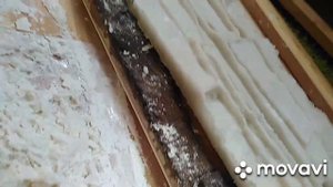Форма для камня своими руками | Штамп для бетона под камень