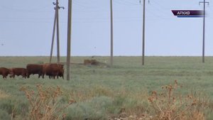 СЮЖЕТ ГЛАВА РК В ИКИ-БУРУЛЬСКОМ РАЙОНЕ 02 05 20