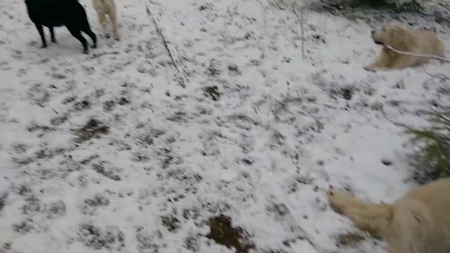 ДиДи смотреть онлайн