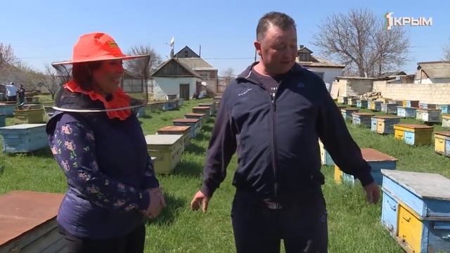 "Деревенское счастье в пчёлах" смотреть онлайн