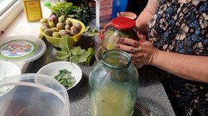 25 июля 2022 г.,,сливы квашенные''пробую рецепт