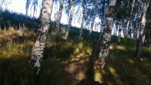 Вилка с мопеда Альфа на ЗИД ПИЛОТ.Проверка на прочность