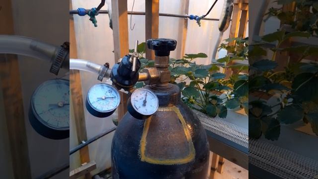 СО2 в зимней теплице смотреть онлайн