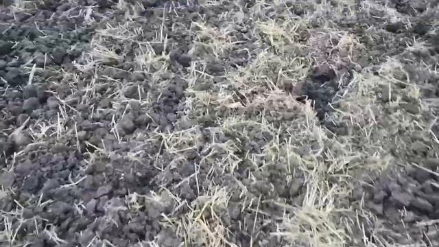 Рыхление почвы трактором джондир