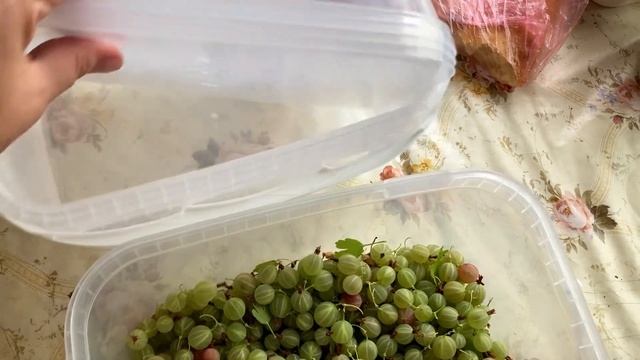 Выходные на даче. День 1 смотреть онлайн