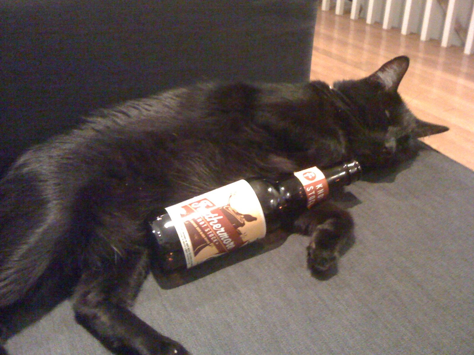 Черный кот с бутылкой