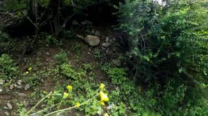 No-6 Еду в Горы Гигатли-Урух Агвали Цумада-Урух Эчеда #Дагестан #велопутешествие #велопоход