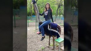 Страусиная Ферма. Ростов-на-Дону. 2019