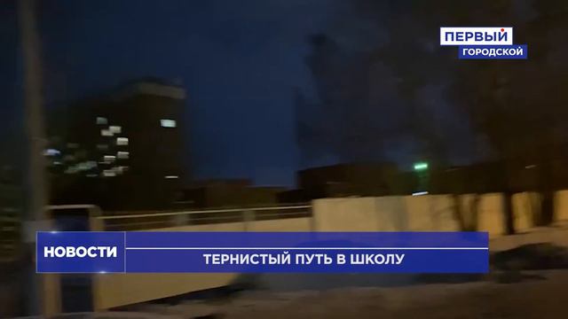 ТЕРНИСТЫЙ ПУТЬ В ШКОЛУ: ЖИТЕЛИ УЛИЦЫ СТОРОЖЕНКО ПРОСЯТ О ПОМОЩИ смотреть онлайн