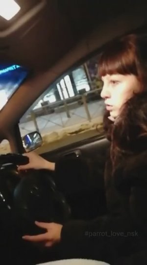 Встреча попугая. На пути домой.