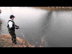 DSCN0865.MOV