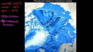 236  Рельеф дна Северного Ледовитого океана