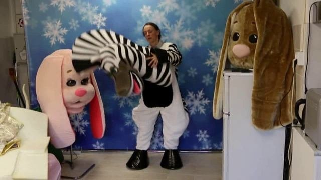 Зебра