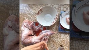Прикорм. Вводим мясо. Подготовка кролика