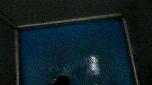 Электрический лифт V=1 м-с, грузоподъемность 400 кг (370)