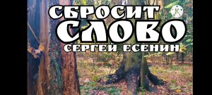 Стихни ветер СЕРГЕЙ ЕСЕНИН